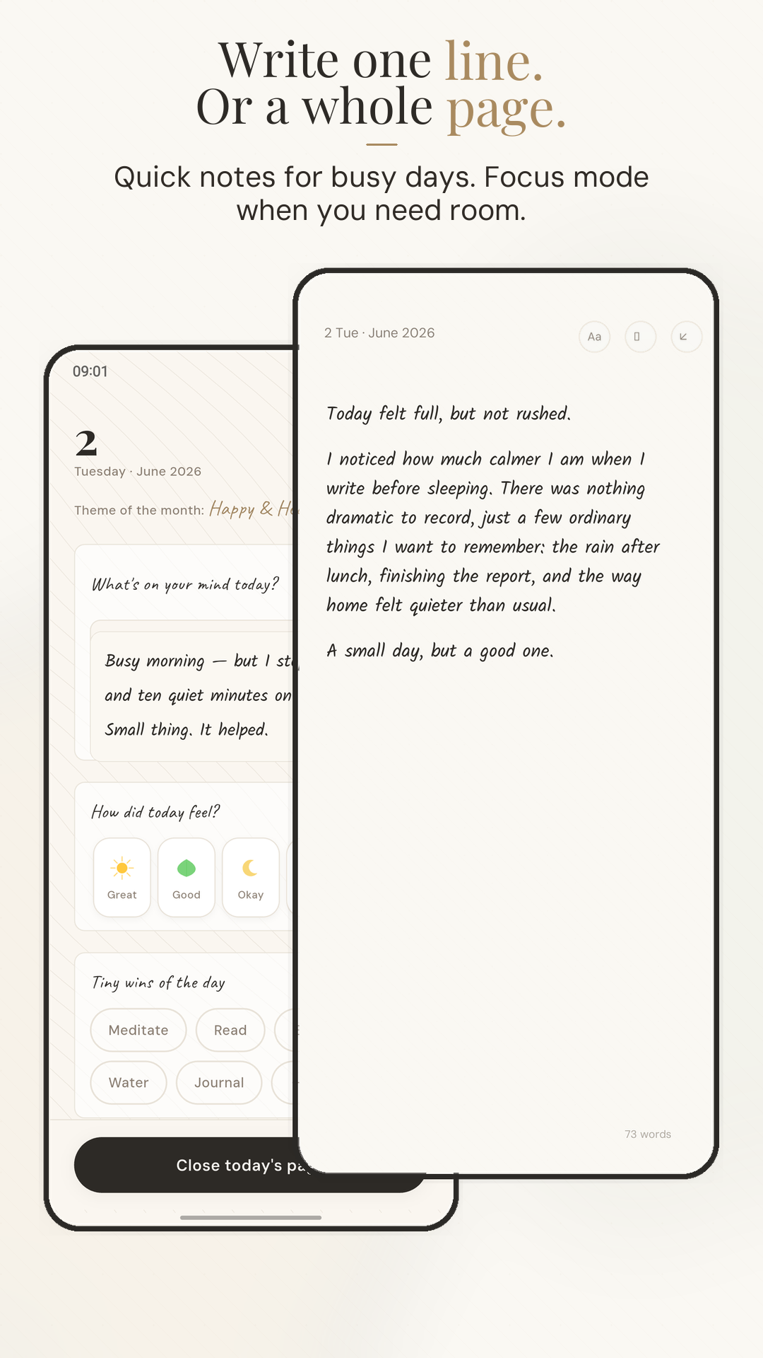 Journal entry editor with Focus mode